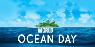 World Oceans Day : Do You Know Why World Oceans Day Is Celebrated Every Year On 8th June? Read On To Know World Oceans Day : Do You Know Why World Oceans Day Is Celebrated Every Year On 8th June? Read On To Know