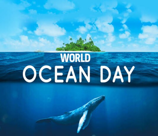 World Oceans Day : Do You Know Why World Oceans Day Is Celebrated Every Year On 8th June? Read On To Know World Oceans Day : Do You Know Why World Oceans Day Is Celebrated Every Year On 8th June? Read On To Know