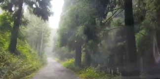 Dow Hill’s incredible ghost stories may leave you shuddering. Kurseong diary part V;2022