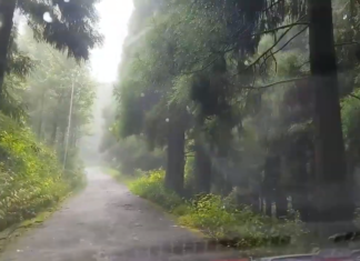 Dow Hill’s incredible ghost stories may leave you shuddering. Kurseong diary part V;2022