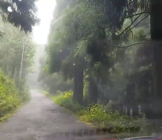 Dow Hill’s incredible ghost stories may leave you shuddering. Kurseong diary part V;2022