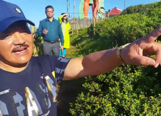 Gidda Pahar is the heart of Kurseong. Kurseong diary part VI. 2023